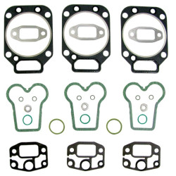 308-130100010746 Renault Zestaw uszczelek głowicy Case-Steyr