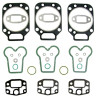 308-130100010746 Renault Zestaw uszczelek głowicy Case-Steyr