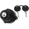 AL19890V John Deere Stacyjka 3136852R1, 3136852R1, AL35864 Vapormatic 5035776686955