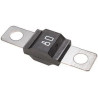 Bezpiecznik Midi 32V 80A L41.1 mm biały op. 1 szt. Hella