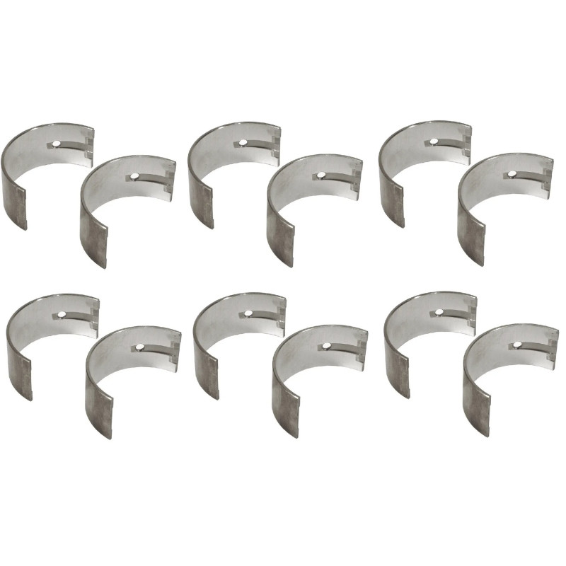 Case 3136203R11X6 Panewki korbowodowe Ergis 2200-3136203R11X6