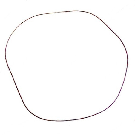Oring 317,5x2,62 Massey Ferguson 1860838M2 Vapormatic 5035776925474
