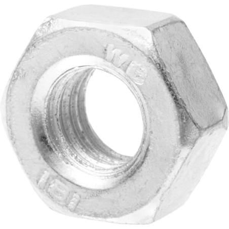 Nut 100016 New Holland 2100-100016