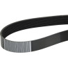 Pasek klinowy, CNH 84426014