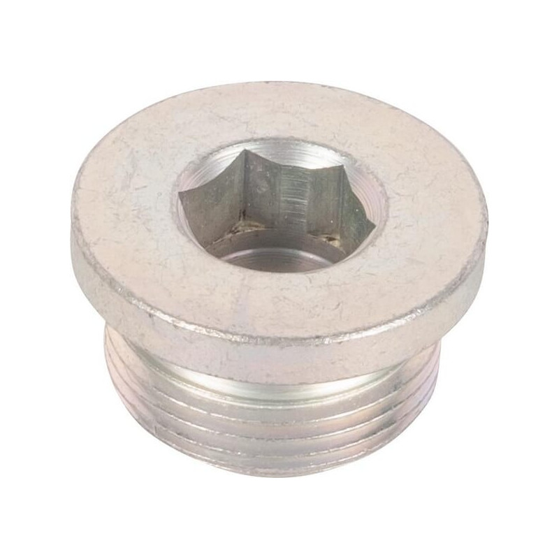 Dana Spicer 065.05.0. - Zatyczka 065050 Spicer Dana 2015-065050