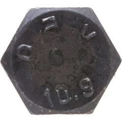 Carraro 125229