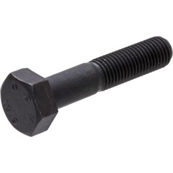 Carraro 125229