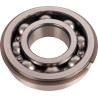 Carraro 026189