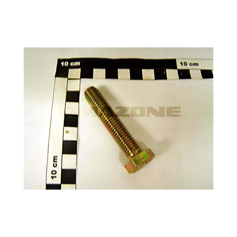 Amazone DC105 Śruba M13x60 kl. 8.8,