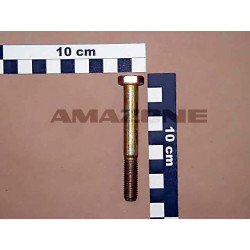Amazone DB046 Śruba M10x80 kl. 8.8,
