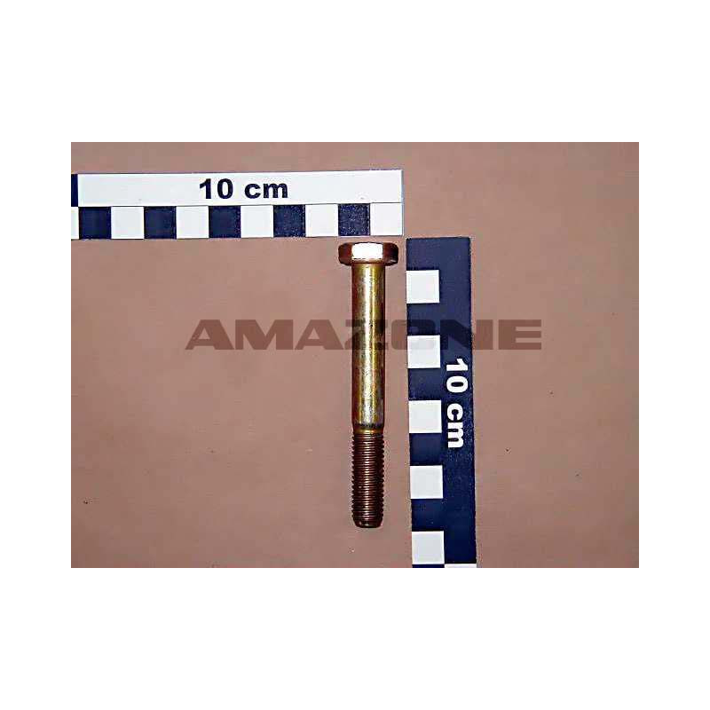 Amazone DB046 Śruba M10x80 kl. 8.8,