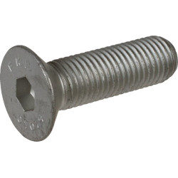 71339216555 Howard Śruba z łbem wpuszczonym M16 × 55 mm, 10,9
