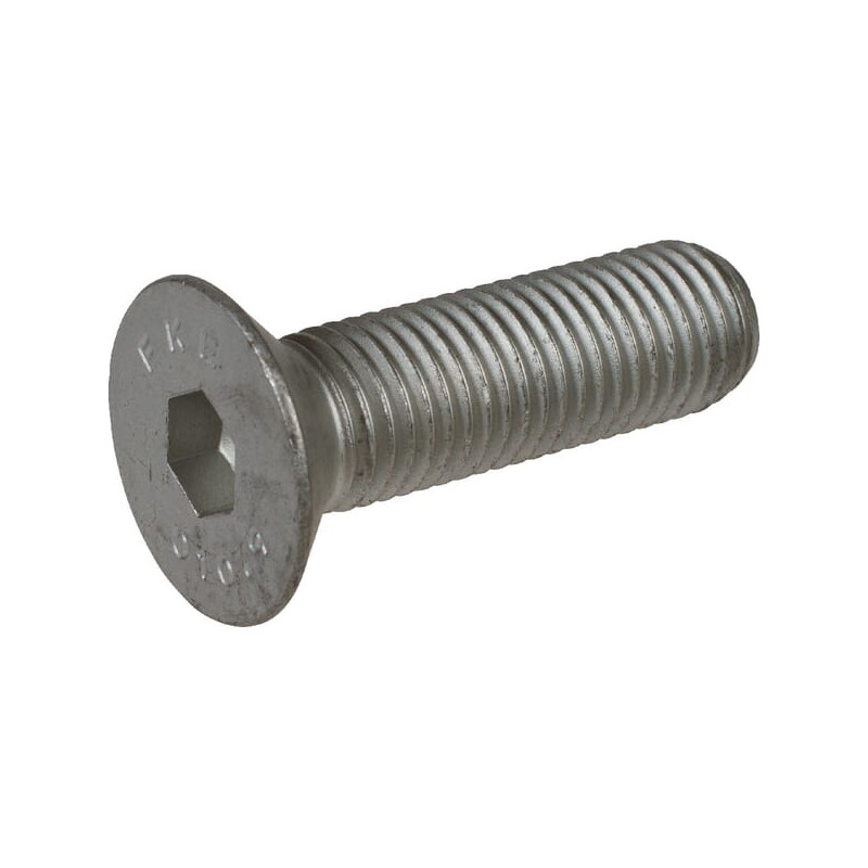 71339216555 Howard Śruba z łbem wpuszczonym M16 × 55 mm, 10,9