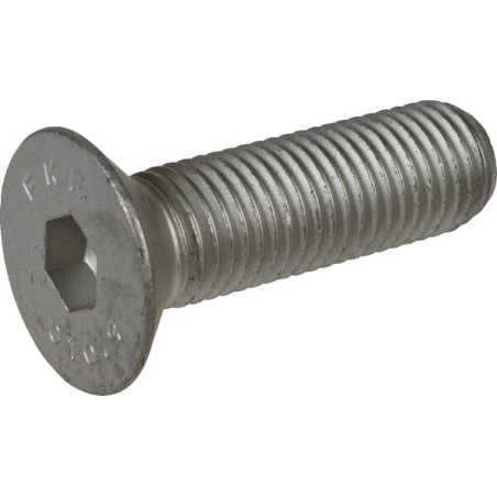 71339216555 Howard Śruba z łbem wpuszczonym M16 × 55 mm, 10,9