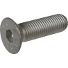 71339216555 Howard Śruba z łbem wpuszczonym M16 × 55 mm, 10,9