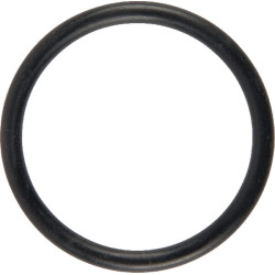 73202023370 Kongskilde Pierścień o-ring