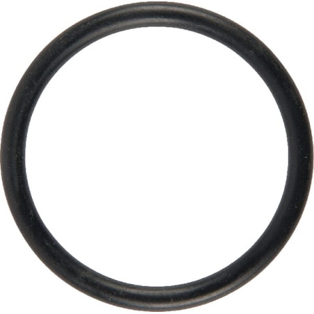 73202023370 Kongskilde Pierścień o-ring