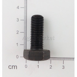 Śruba M10x25x1.25 kl10.9
