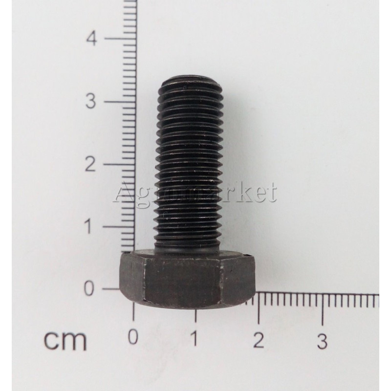 Śruba M10x25x1.25 kl10.9