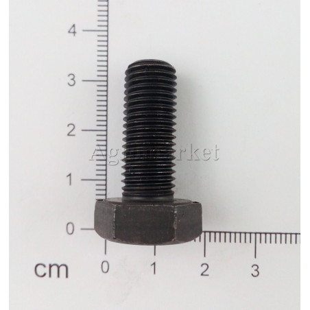 Śruba M10x25x1.25 kl10.9
