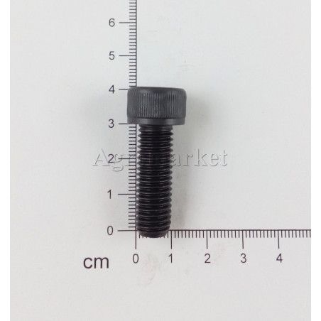 Śruba imbus M10p1.5x30-12.9