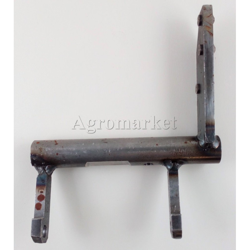 Widłak