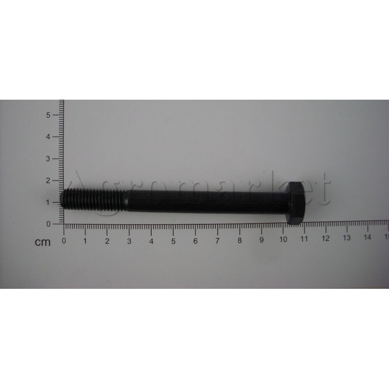Śruba mech różn M10x100-10.9 54210240