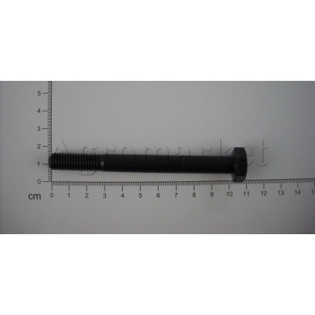 Śruba mech różn M10x100-10.9 54210240