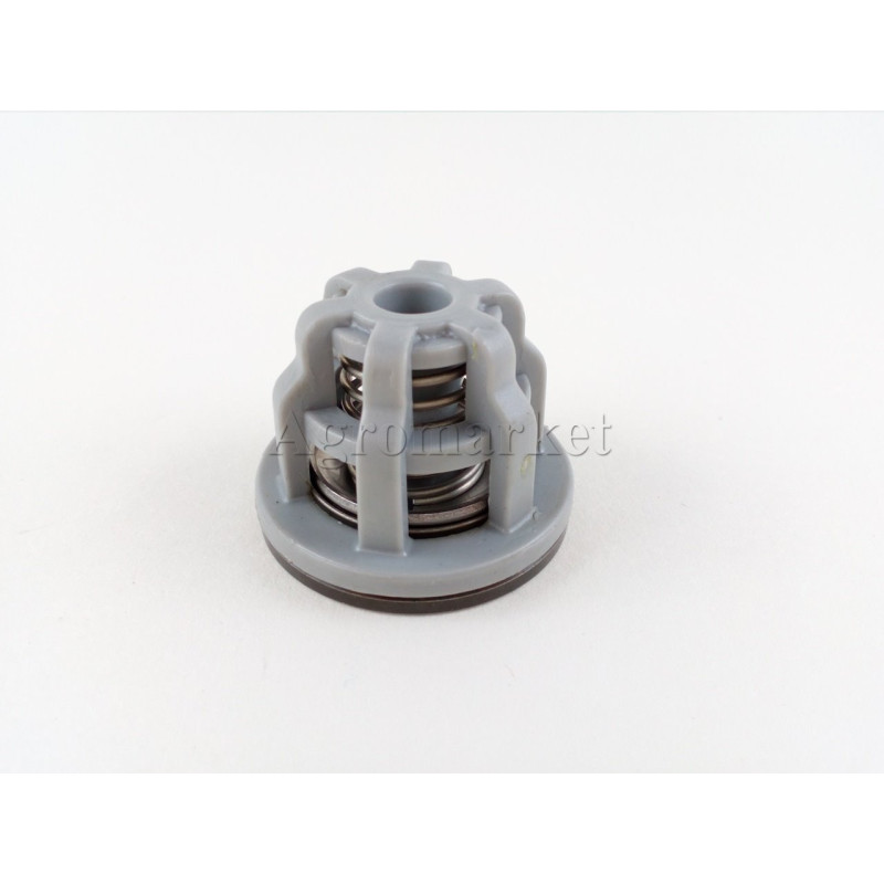 Zaworek pompy UDOR /600697/