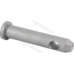 Sworzeń zaczepu 20x105mm