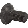 Śruba sprzęgła M12x1x20mm