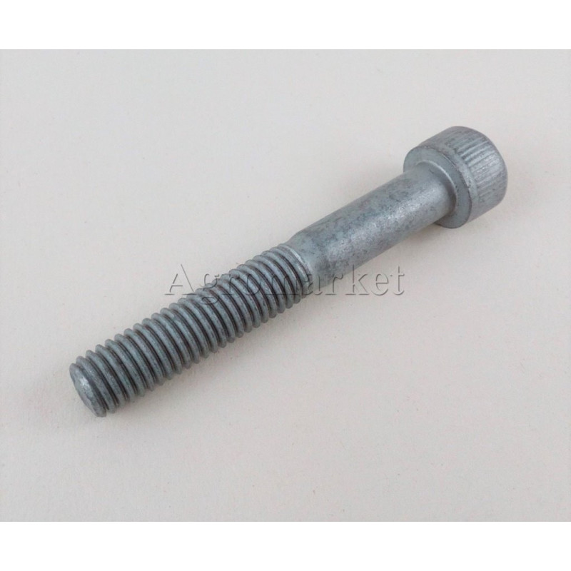 śruba 8x55
