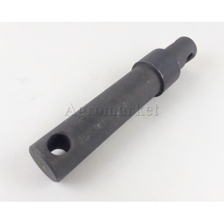 Sworzeń ramienia