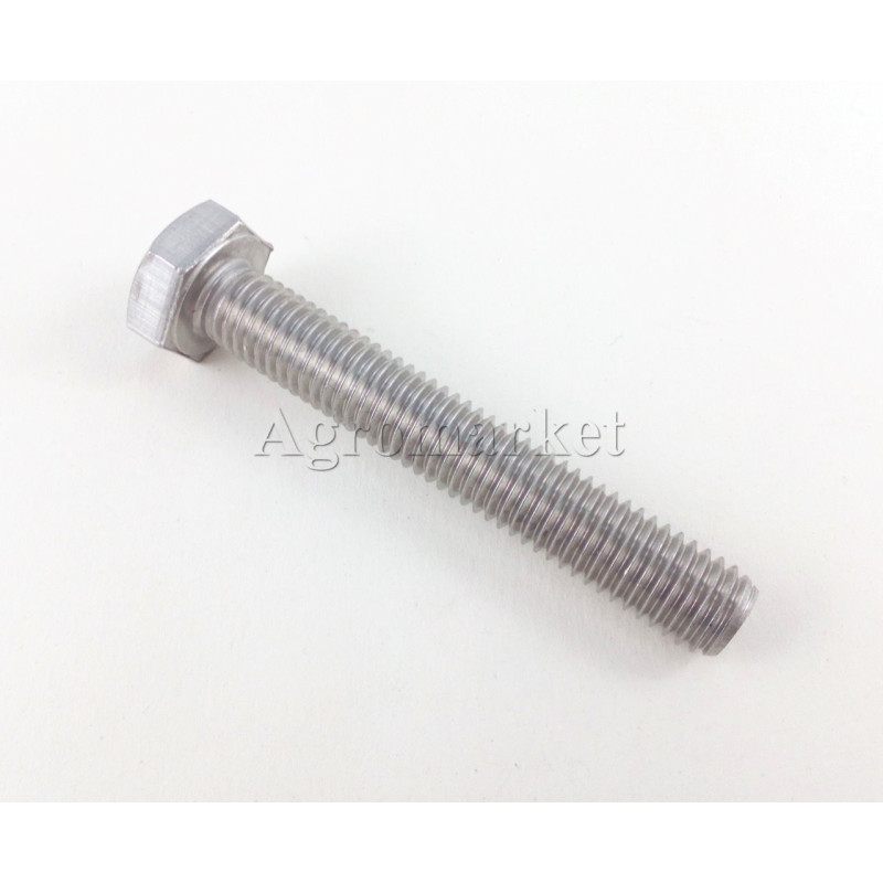 Vicon VNB4292978 Śruba M10x65/A2-70