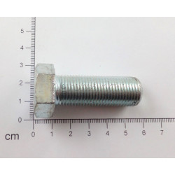 Śruba M16x1x55