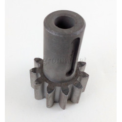 Zębnik