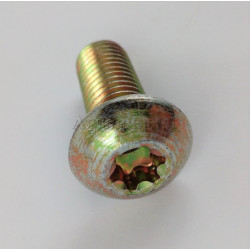 Śruba torx M12x30