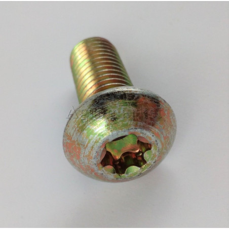 Śruba torx M12x30