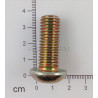 Śruba torx M12x30