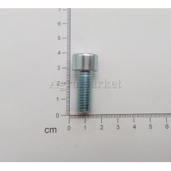 Śruba M10x25