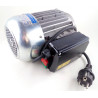 Silnik elektryczny 220 V