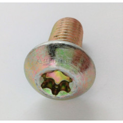 Śruba torx M12x25