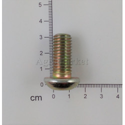 Śruba torx M12x25