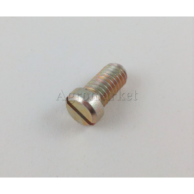 Śruba 6 x 12