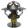 Termostat 6005025579 fi54 82°C pasuje do Renault