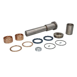 Carraro 068874 Zestaw sworznia wachacza