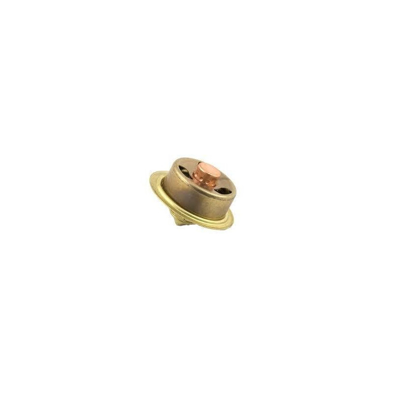 Termostat 0011322410