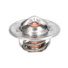 Termostat 6005022968
