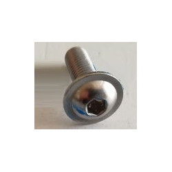 Vicon RG00050664/MJ Śruba M8x25