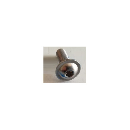 Vicon RG00050664/MJ Śruba M8x25